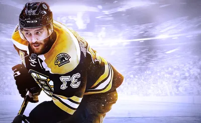 Boston Bruins