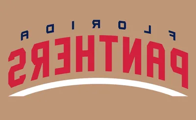 Florida Panthers