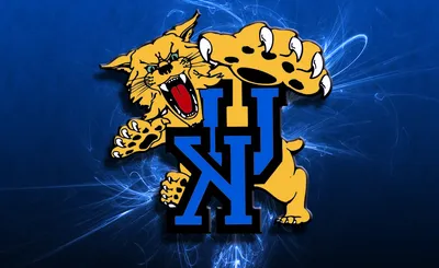 Kentucky Wildcats
