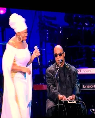 Stevie Wonder